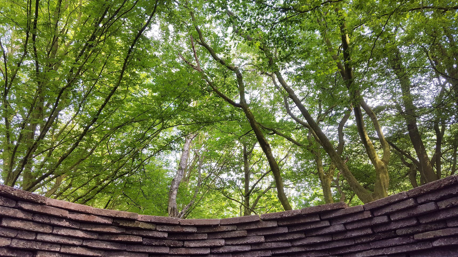 stapelingen ecokathedraal mildam bomen