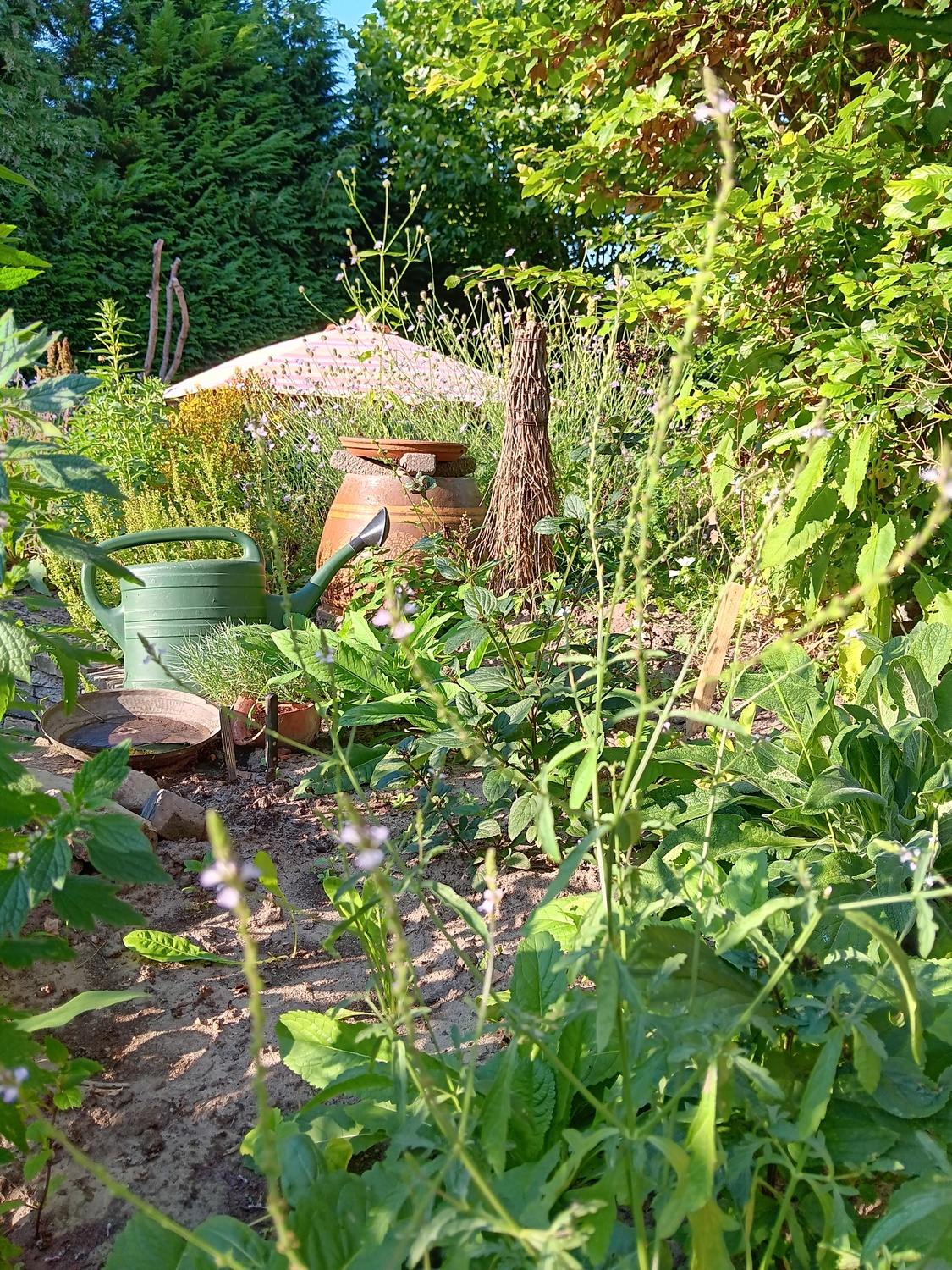tuin henk pleiter earth greening international 4