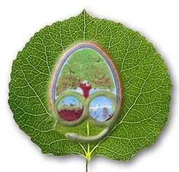 logo permacultuur